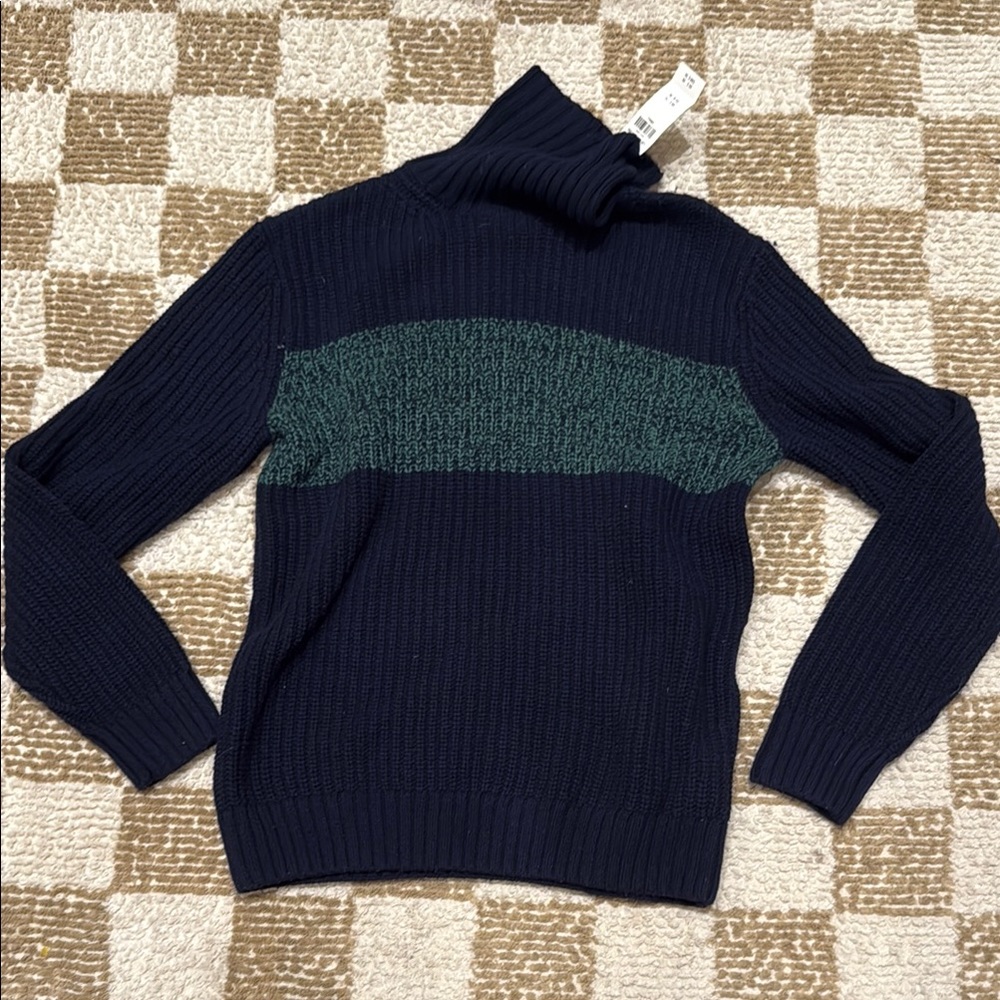 GAP Men's Navy and Green Sweater